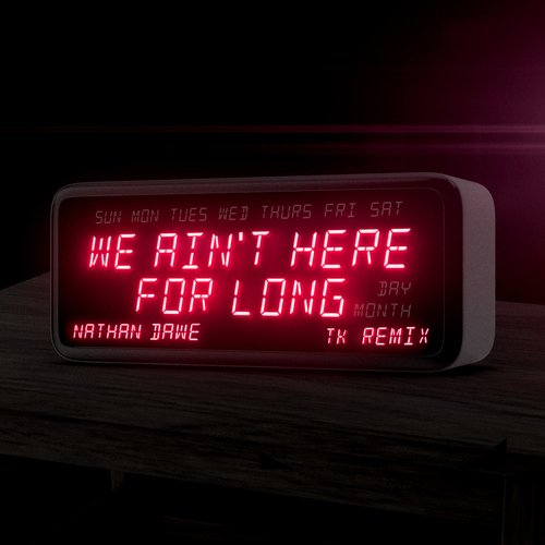 We Ain't Here For Long (TK Remix) (TK Remix)