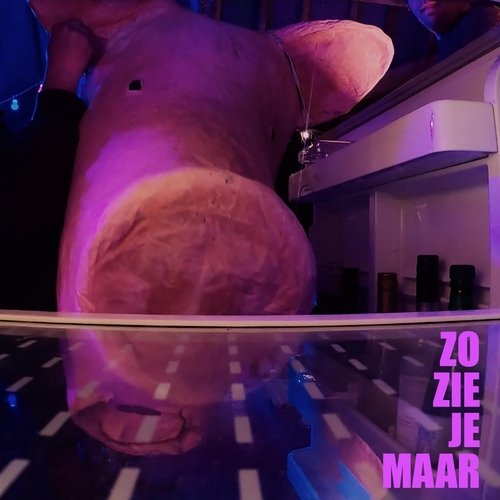 Zo Zie Je Maar cover art