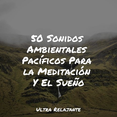 50 Sonidos Ambientales Pacíficos Para la Meditación Y El Sueño