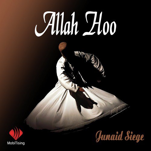 Allah Hoo - Single