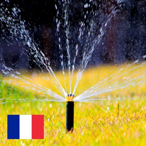 Arrosage de Pelouse lors d'une Matinée de Printemps