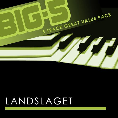 Big-5 : Landslaget_poster_image