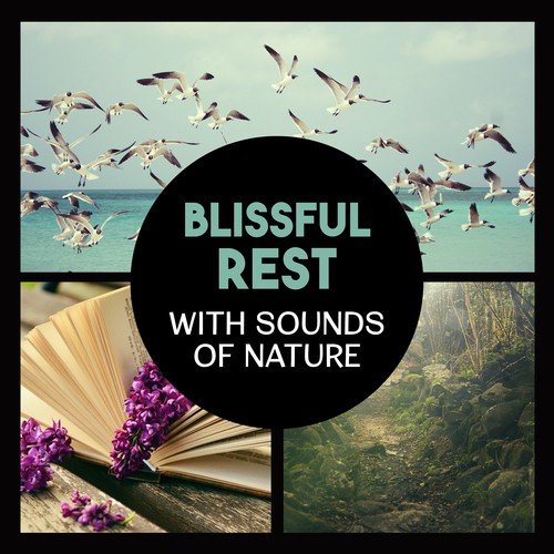 Blissful Rest with Sounds of Nature – Music for Deep Sleep, Natural Calmness and Stress Relief, Yoga and Relaxation in Green Space