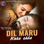 DIL MARU KAHE CHHE artwork