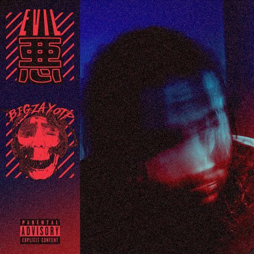 STS cover art