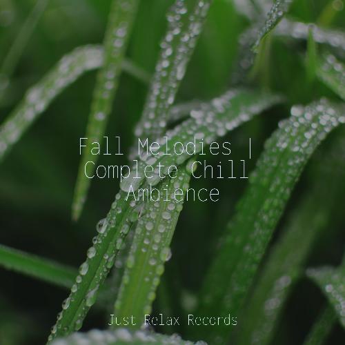 Fall Melodies | Complete Chill Ambience