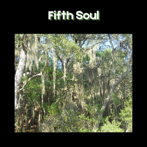 Fifth Soul