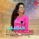 Naadan Pancchi