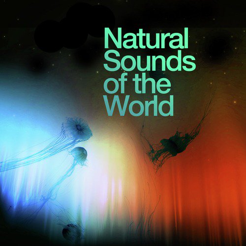 Water Source cover art