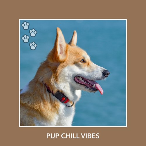 Total Resting Pets cover art