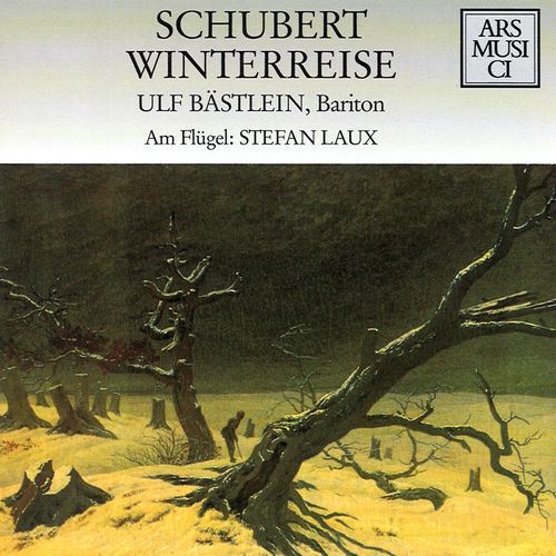Winterreise D. 911, Op. 89: No. 19, Täuschung cover art