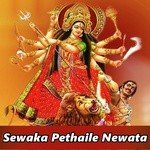 Bhauji Leke Ke Aili