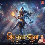 Shiv Tandav Stotram