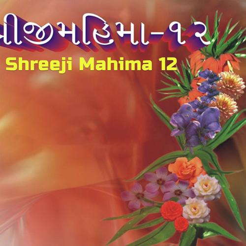 Shreeji Mahima 12