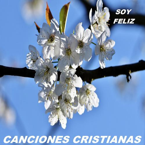 Soy Feliz_poster_image