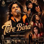Tere Bina