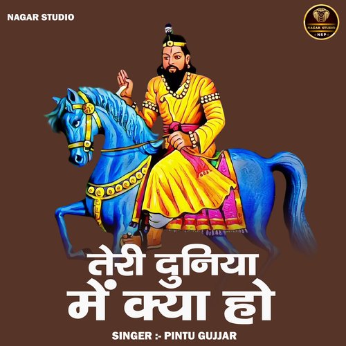 Teri duniya mein kya ho (Hindi)