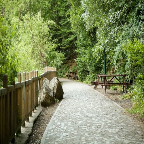 Way of GardenPath_poster_image