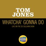 Whatcha' Gonna Do (Live On The Ed Sullivan Show, June 13, 1965)