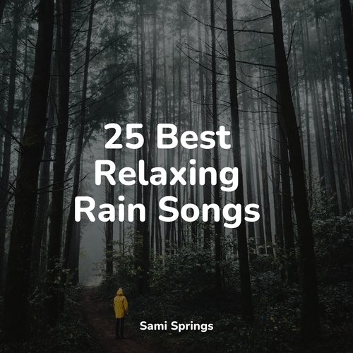 25 Best Relaxing Rain Songs_poster_image