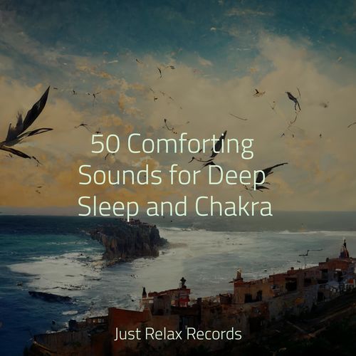 50 Comforting Sounds for Deep Sleep and Chakra_poster_image