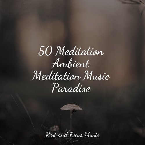 Mindfulness Spa cover art