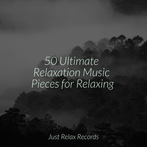 50 Ultimate Relaxation Music Pieces for Relaxing