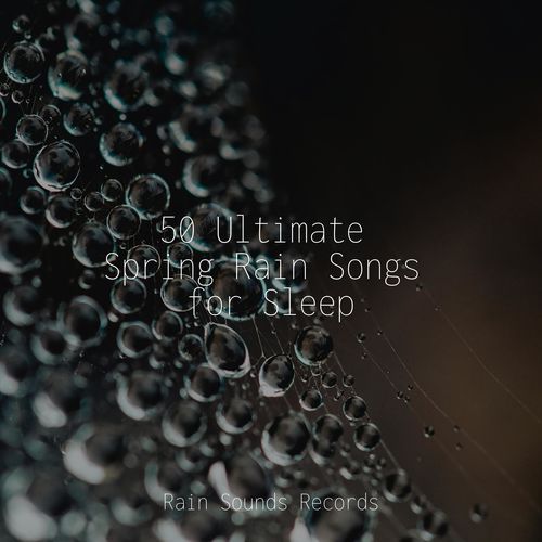 50 Ultimate Spring Rain Songs for Sleep