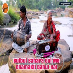 Bulbul Bahara Gul Me Chamakti Bahut Hai-FQUpBgd,bWs