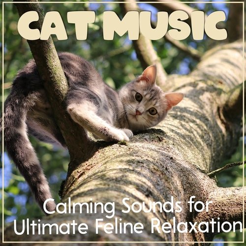 Cat Music While You're Away