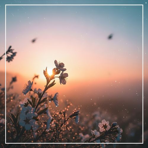Soft Sugar Breeze cover art