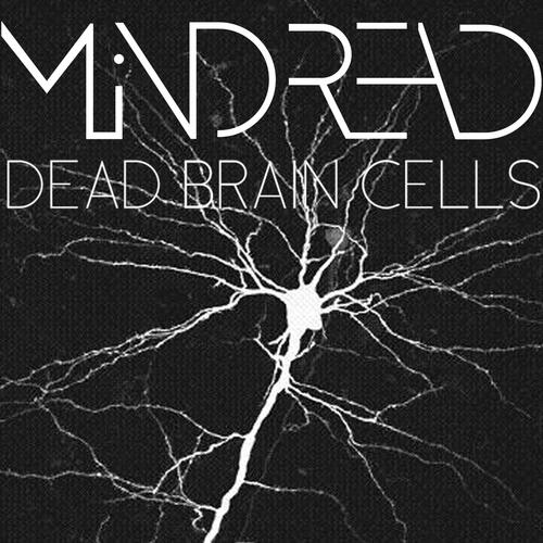 User (Original) cover art