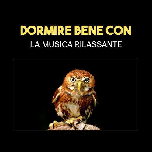 Musica terapeutica cover art