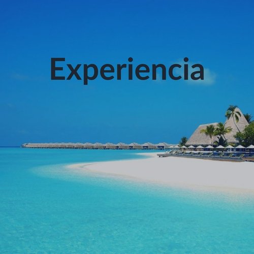 Experiencia