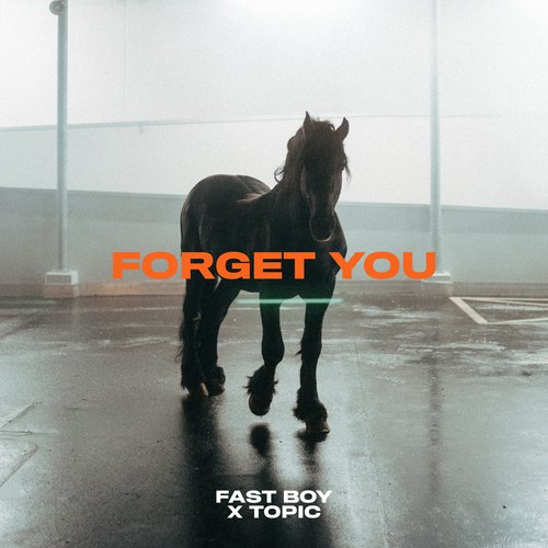 Forget You_poster_image