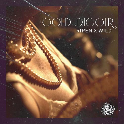 Gold Digger_poster_image