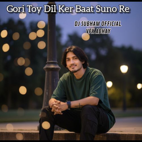 Gori Toy Dil Ker Baat Suno Re