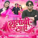 Gulabi Sadi