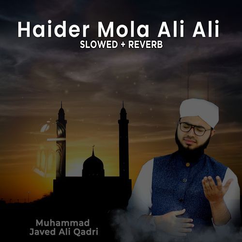 Haider Mola Ali Ali (Lofi-Mix)