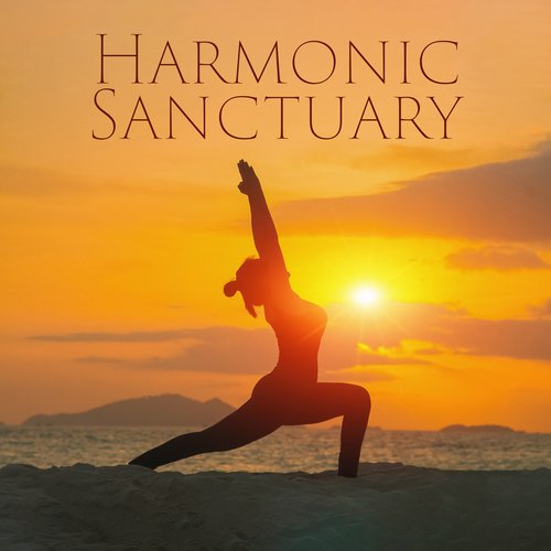 Harmonic Sanctuary: Where Melodies Merge with Serenity_poster_image