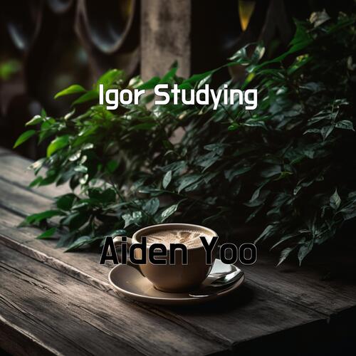 Igor Studying cover art