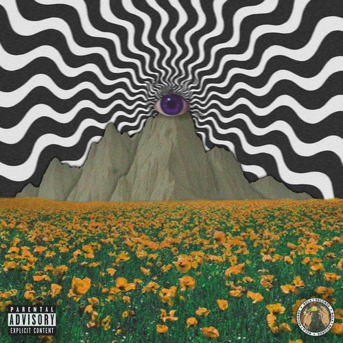 Fumaça & LSD cover art