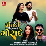 Mari Pritdi Nibhavaje Gorade