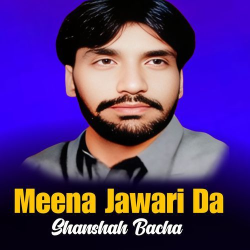 Meena Jawari Da