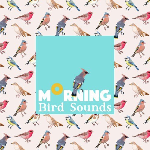 Morning Bird Sounds