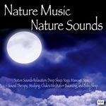 Nature Sounds: Nature Music