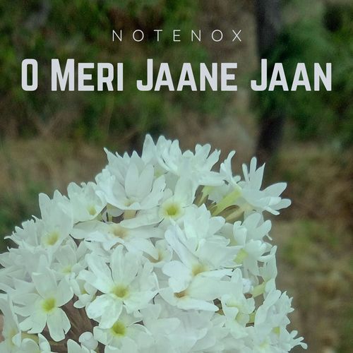 O MERI JAANE JAAN