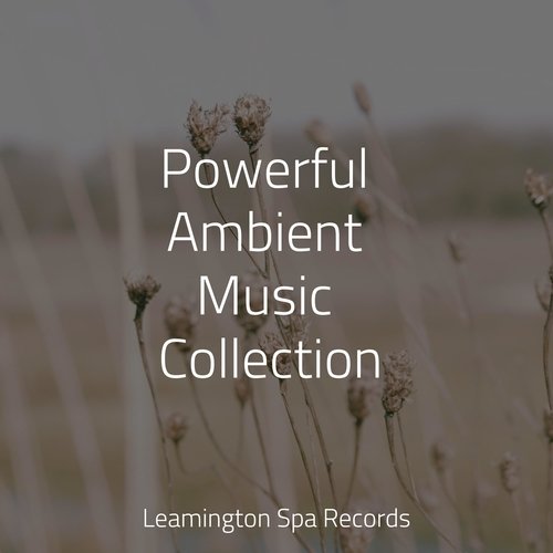 Powerful Ambient Music Collection