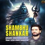 Shambhu Shankar artwork