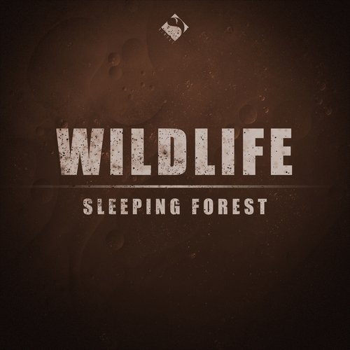 Sleeping Forest_poster_image